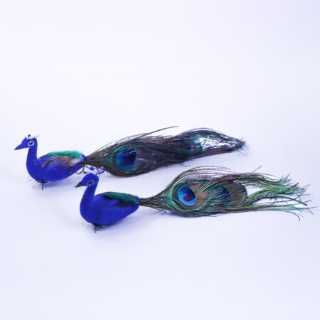 Peacock Pair